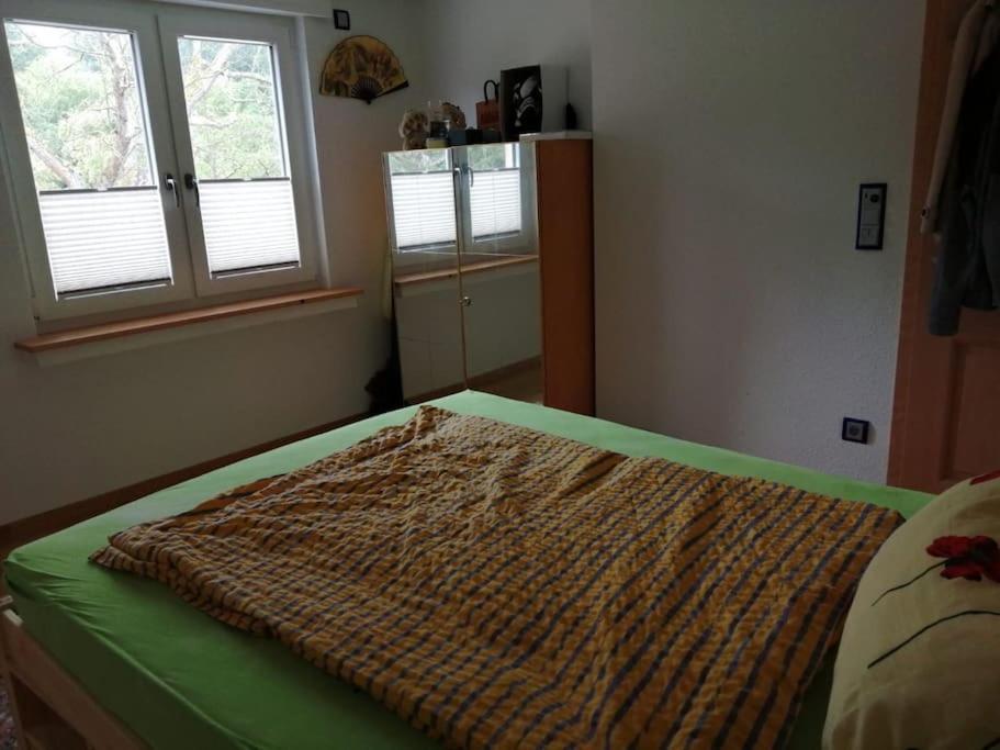 Ferienwohnung Apartment Doppelzimmer In Der Villa Naturpark Rheinblick, Ruhig, Aussicht, Pool Koblenz  Exterior photo